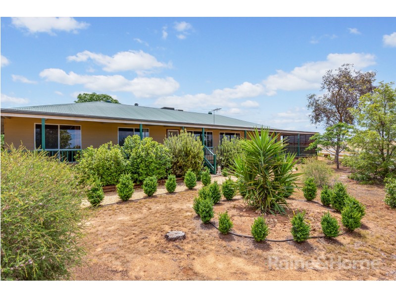 529 Paddys Bridge Road, Redbanks SA 5502