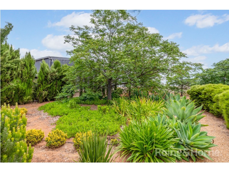 529 Paddys Bridge Road, Redbanks SA 5502