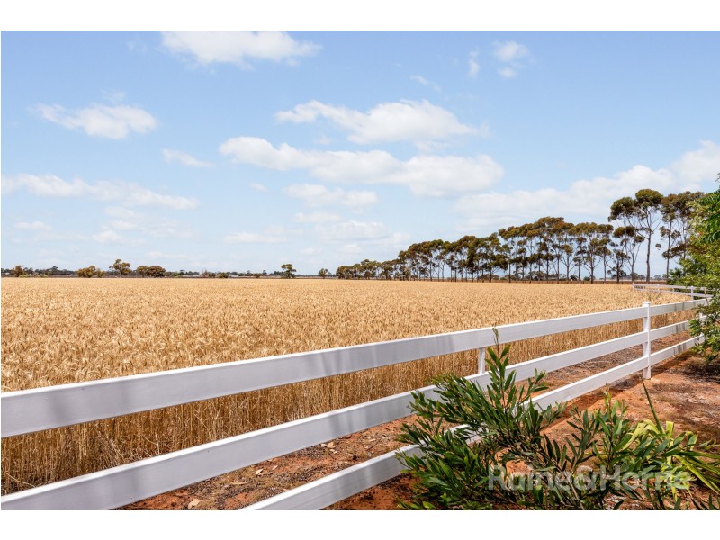 529 Paddys Bridge Road, Redbanks SA 5502