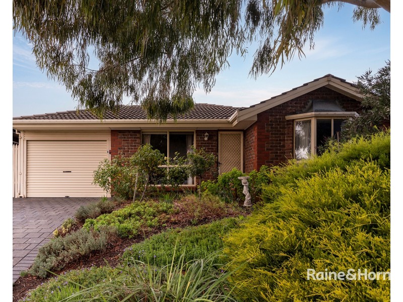 8 Coachwood Court, Wynn Vale SA 5127