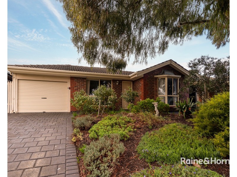 8 Coachwood Court, Wynn Vale SA 5127