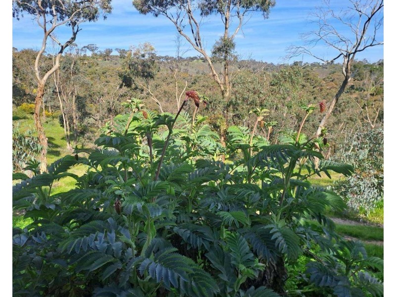 57 Emu Flat Road, Armagh SA 5453