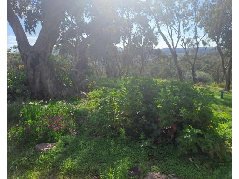 57 Emu Flat Road, Armagh SA 5453