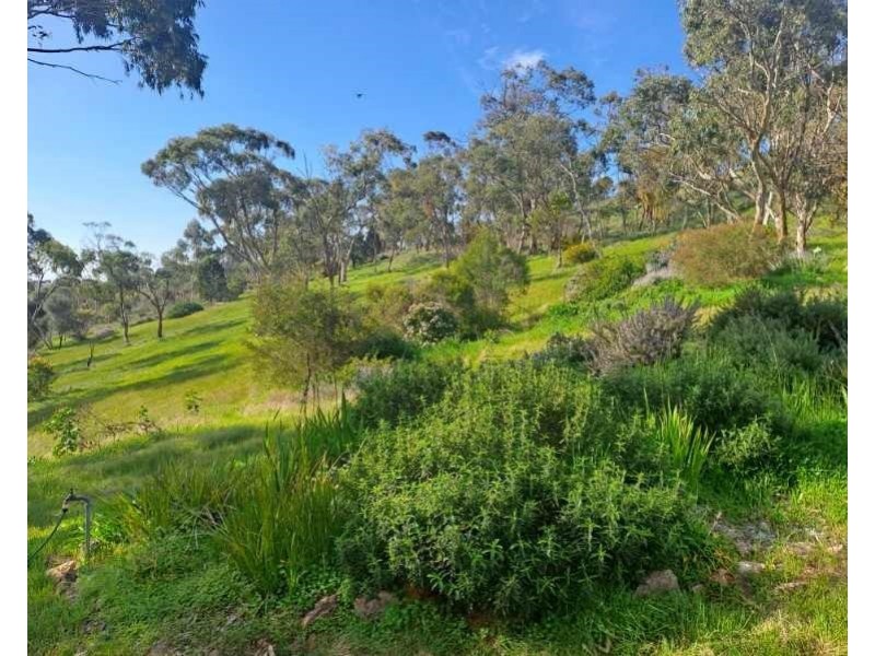 57 Emu Flat Road, Armagh SA 5453