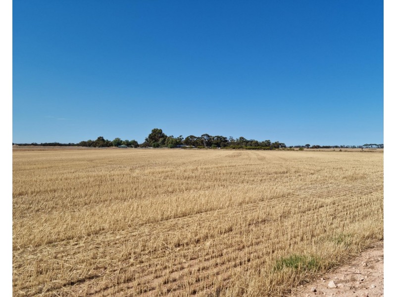 1007 Cheek Road, Redbanks SA 5502