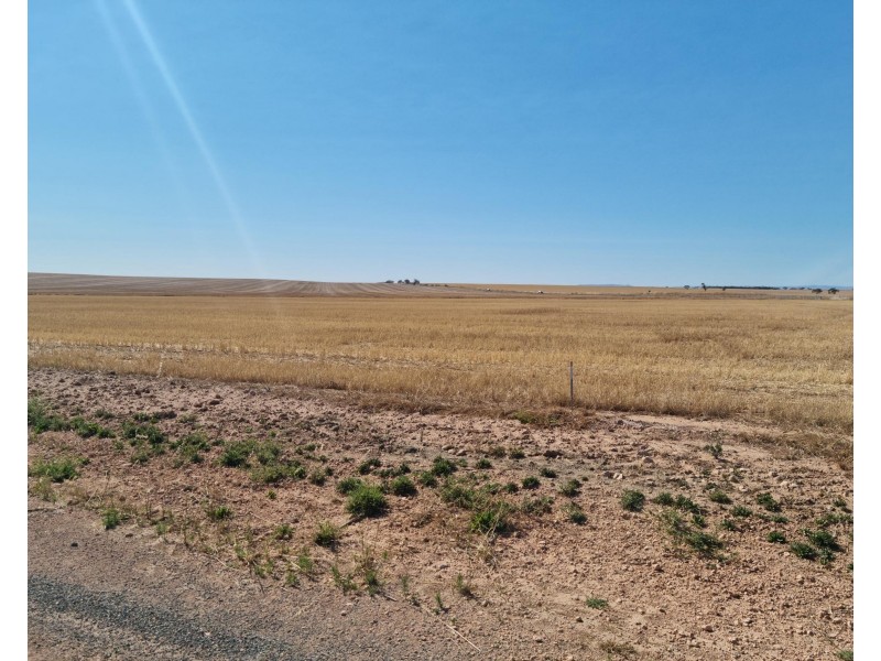 1007 Cheek Road, Redbanks SA 5502