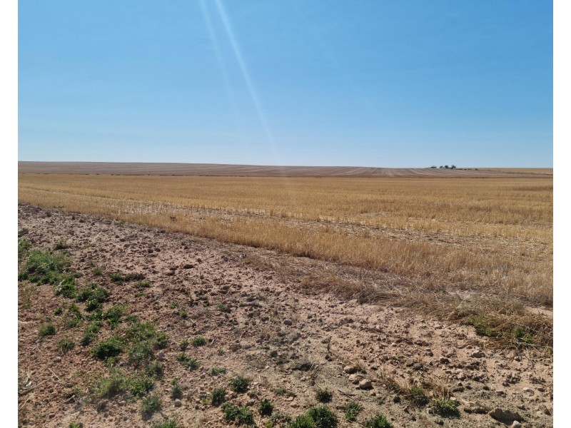 1007 Cheek Road, Redbanks SA 5502