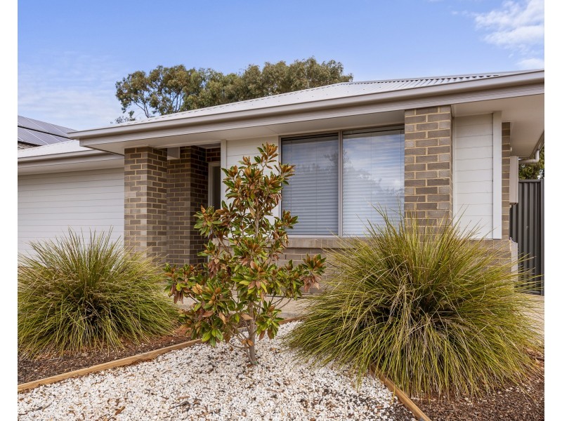 11 Roxburgh Crescent, Blakeview SA 5114