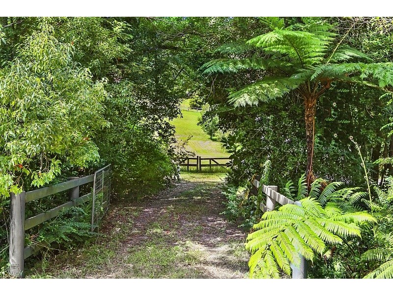 41 Vicary Road, Terrigal NSW 2260