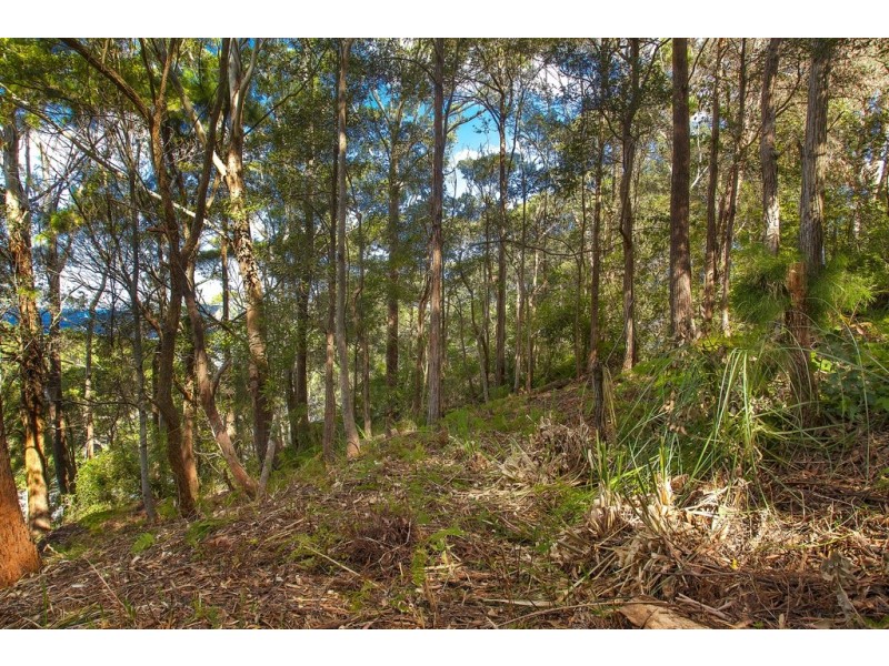 4 Surf Rider Avenue, North Avoca NSW 2260