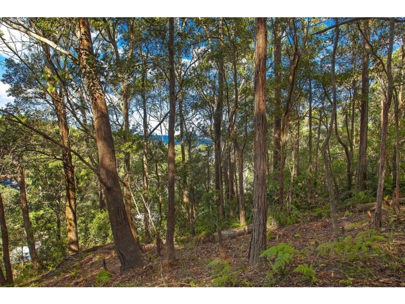 4 Surf Rider Avenue, North Avoca NSW 2260