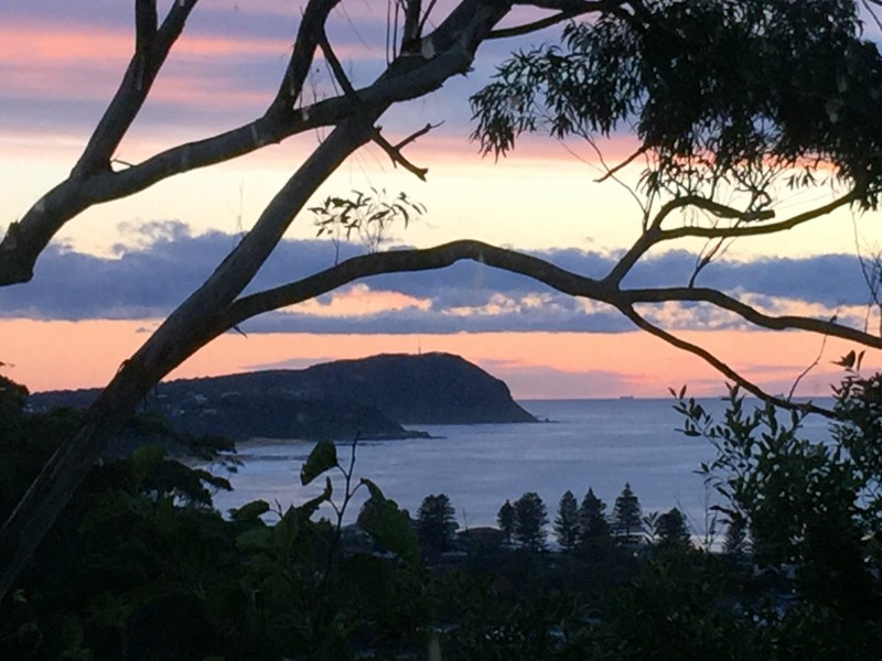 193 Scenic Highway, Terrigal NSW 2260