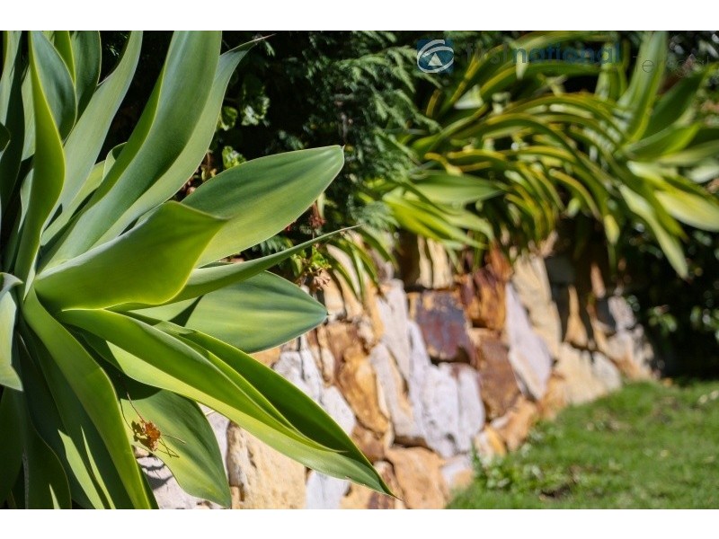 16 Norwich Close, Terrigal NSW 2260