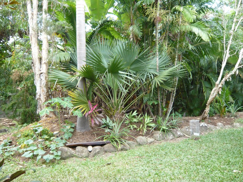 24 PELLOWE CLOSE, Clifton Beach QLD 4879