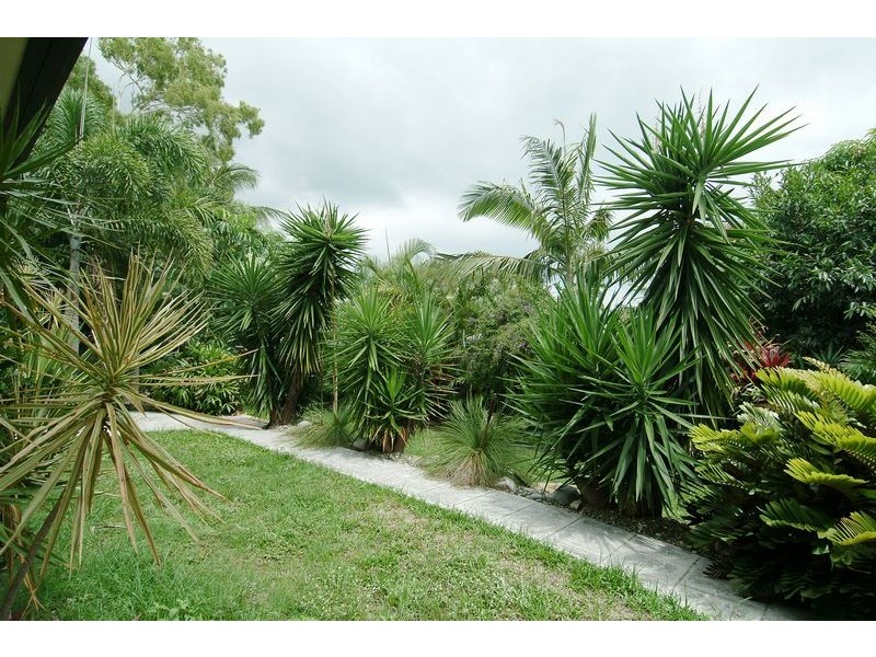 52 VEIVERS ROAD, Palm Cove QLD 4879