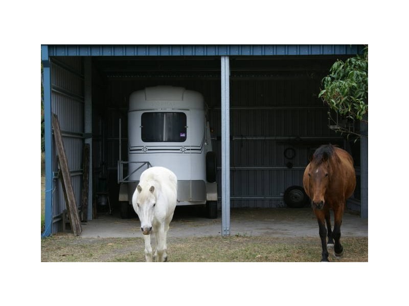 1 PETRICOLA STREET, Clifton Beach QLD 4879