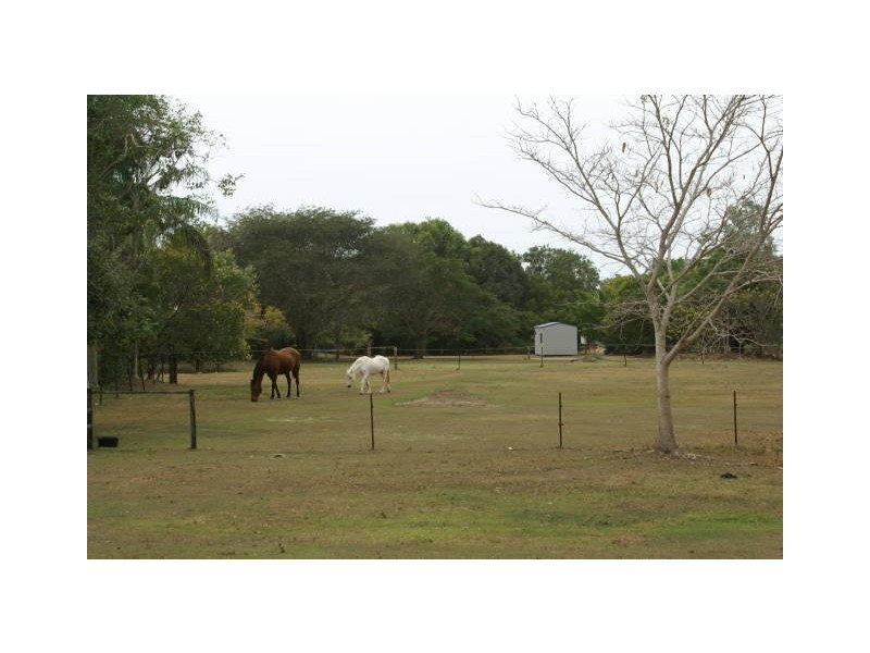 1 PETRICOLA STREET, Clifton Beach QLD 4879