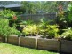 17 SECLUSION DR, Palm Cove QLD 4879