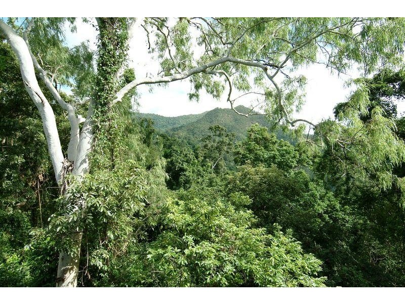 3 TRANQUIL PLACE, Smithfield QLD 4878