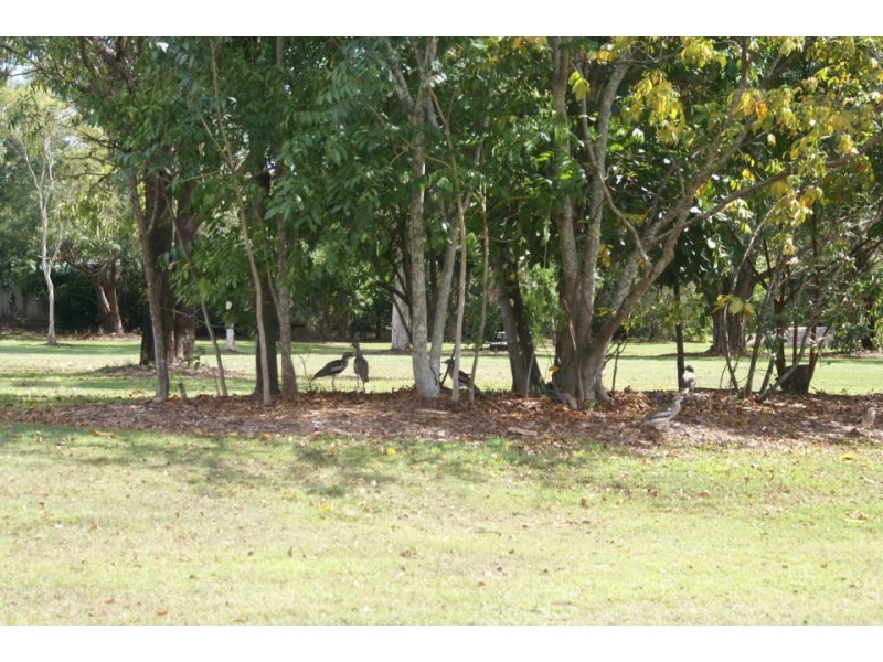 28 EDDY STREET, Clifton Beach QLD 4879