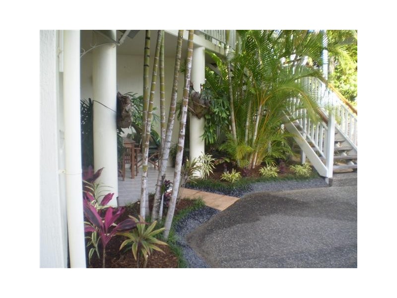 34 OLIVA STREET, Palm Cove QLD 4879