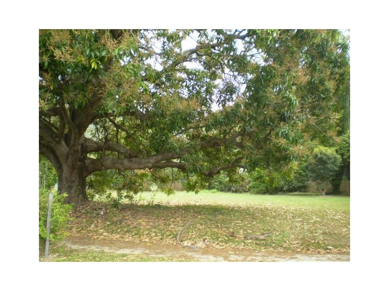 17 SATELLITE STREET, Clifton Beach QLD 4879