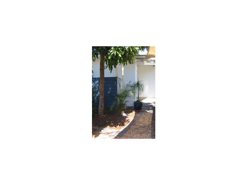 55 VEIVERS ROAD, Palm Cove QLD 4879
