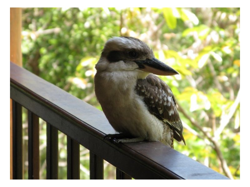 25-27 LARK CLOSE, CLIFTON BEACH, Cairns QLD 4870