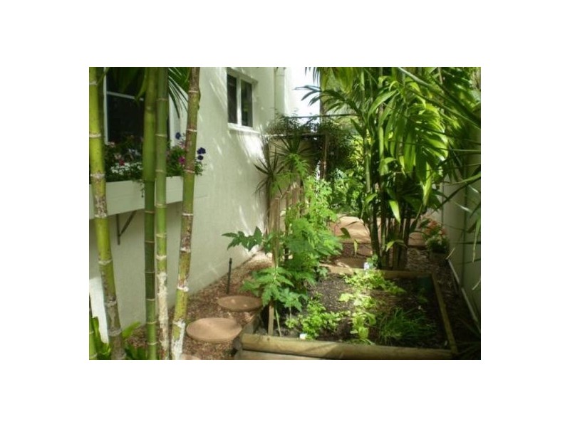 137 ARLINGTON ESPLANADE, Clifton Beach QLD 4879