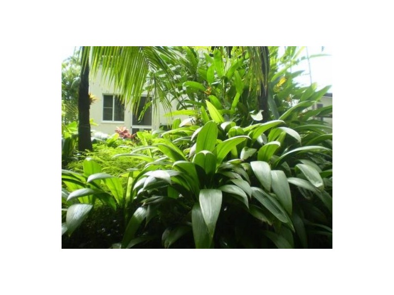 137 ARLINGTON ESPLANADE, Clifton Beach QLD 4879