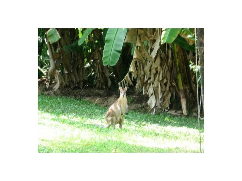 9 ST CRISPIN STREET, Clifton Beach QLD 4879