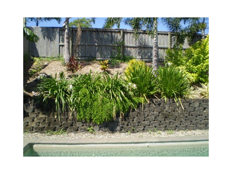 31 Bilgola Drive, Kewarra Beach QLD 4879