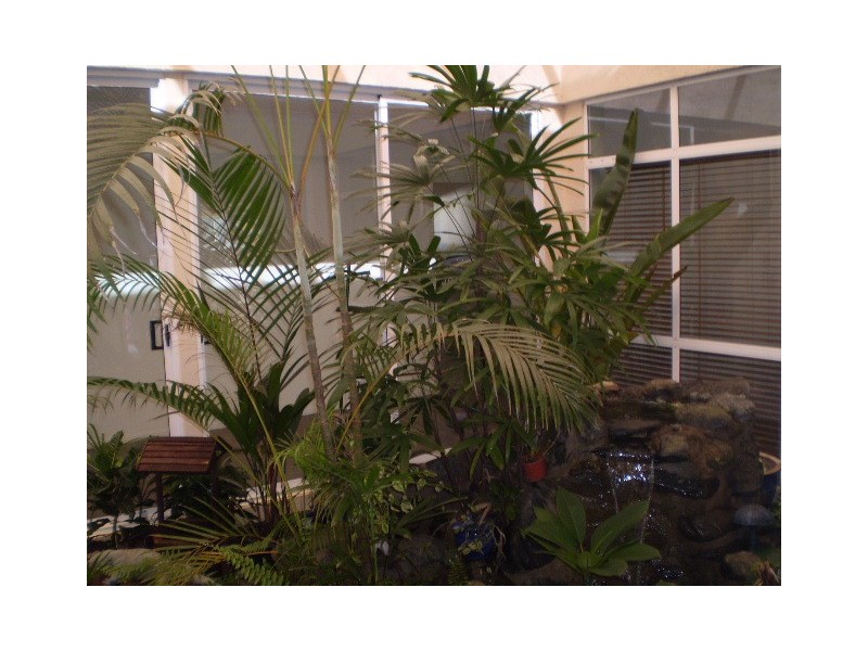 Kewarra Beach QLD 4879