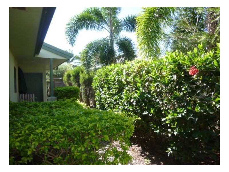 24 NARABEEN STREET, Kewarra Beach QLD 4879