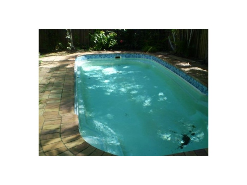 12 Thais Street, Palm Cove QLD 4879