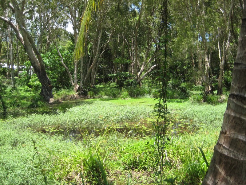 LOT 35 BATT STREET, Clifton Beach QLD 4879