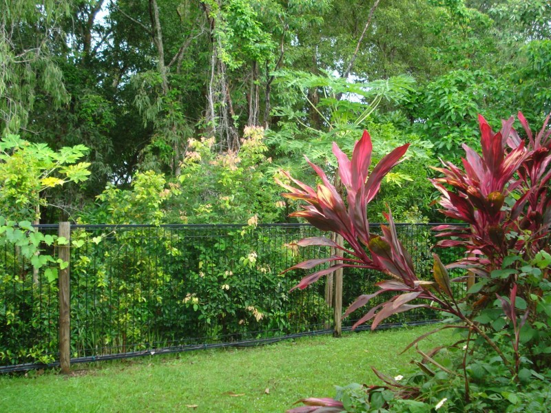 45 Monterey Street, Kewarra Beach QLD 4879