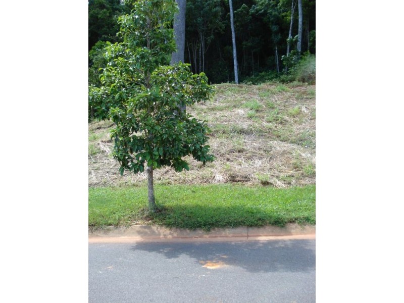 67 LEONARDS ACCESS, Kewarra Beach QLD 4879