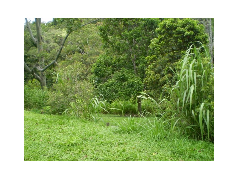 16 Crothers Road, Kuranda QLD 4881
