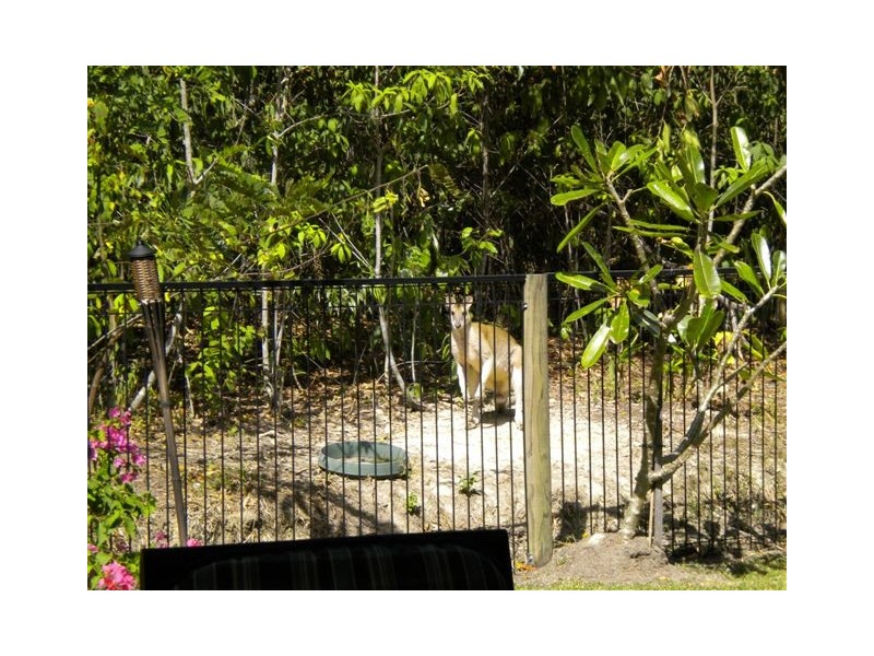 Kewarra Beach QLD 4879