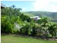 40 Savannah Way, Palm Cove QLD 4879
