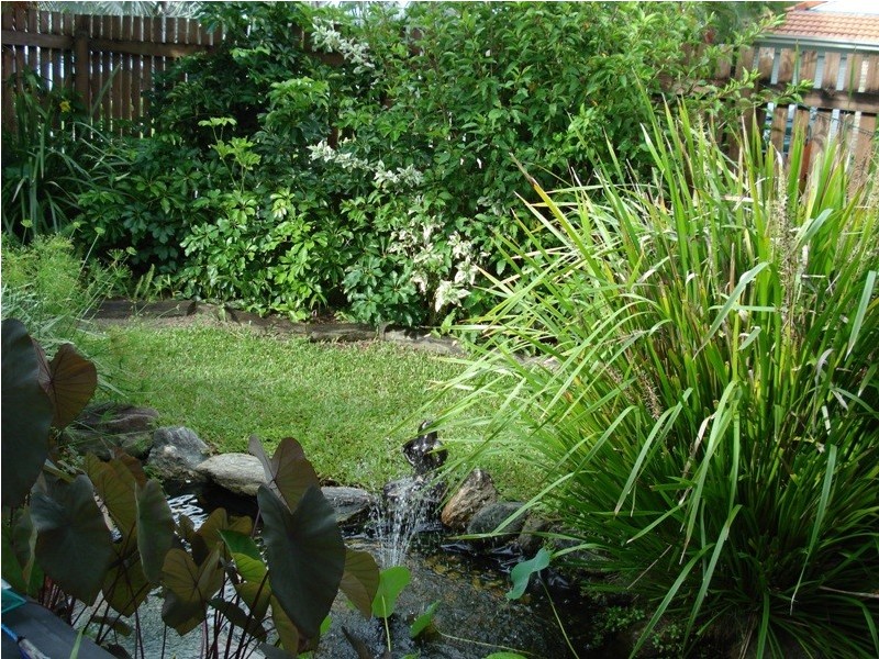 16 CAPRI CLOSE, Kewarra Beach QLD 4879