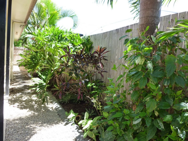 71 Nova Street, Kewarra Beach QLD 4879