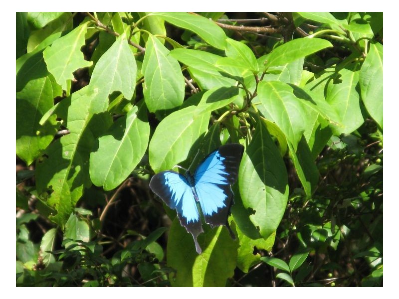 25-27 LARK CLOSE,, Clifton Beach QLD 4879