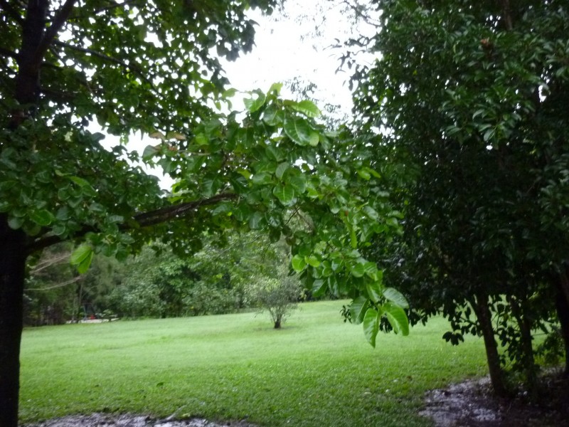 65 Cottesloe Drive, Kewarra Beach QLD 4879