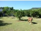 Lot 41 Joseph Banks Close, Kewarra Beach QLD 4879