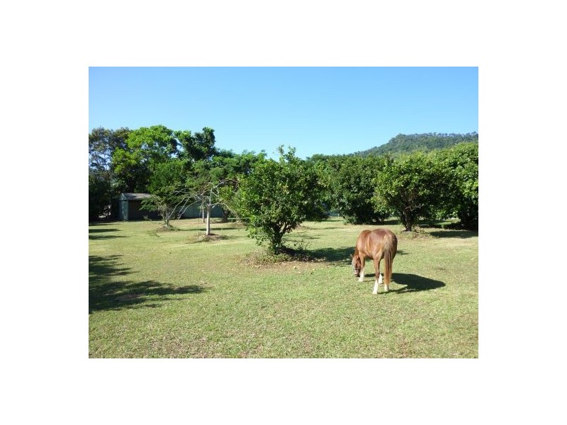 Lot 41 Joseph Banks Close, Kewarra Beach QLD 4879