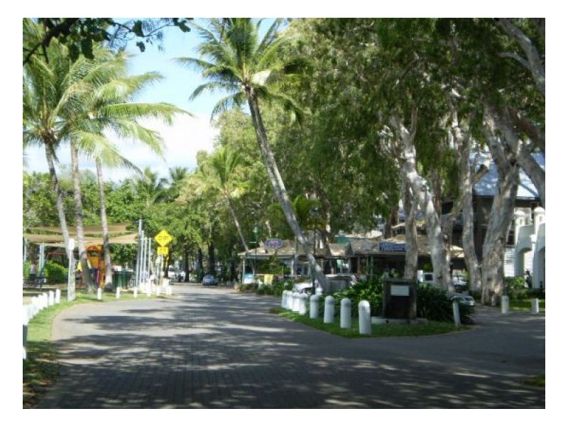 1/32 OLIVA STREET, Palm Cove QLD 4879