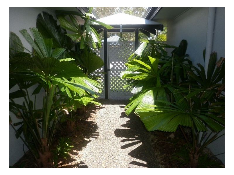 12 Monterey Street, Kewarra Beach QLD 4879