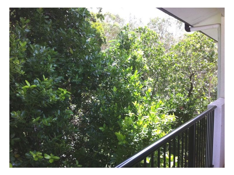 11/14-16 ADAIR STREET, Yorkeys Knob QLD 4878